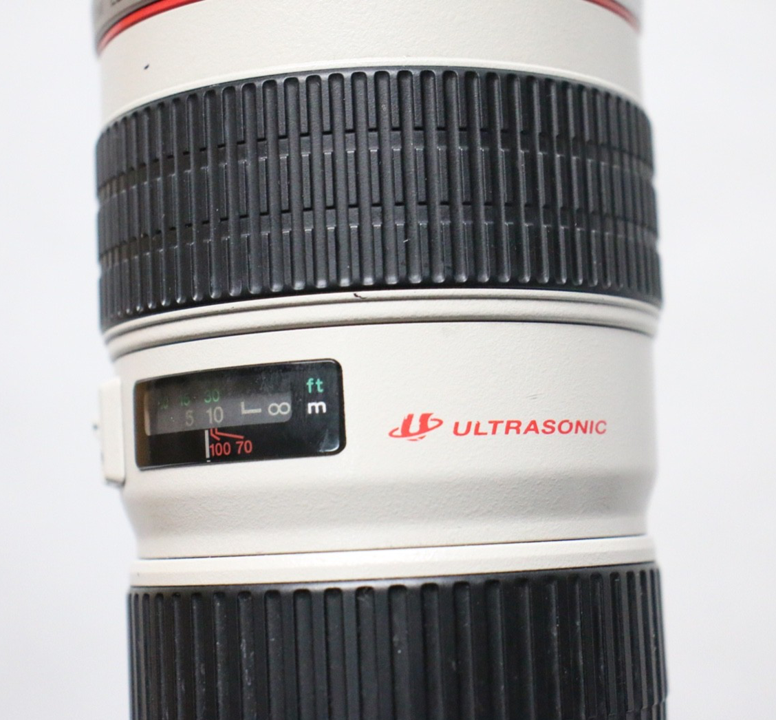 Canon EF 70-200 mm 1.4 L USM Ultrasonic Lens | eBay