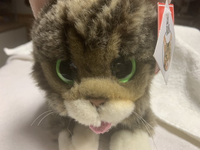 lil bub stuffed animal