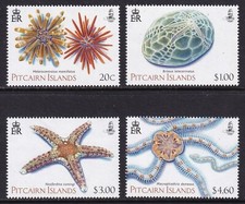Pitcairn Islands 2019 - Echinoderms - Marine Life Set of 4 - MNH