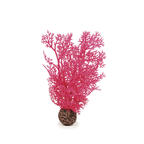 Oase biOrb Hornkoralle klein pink Aquarien Dekoration