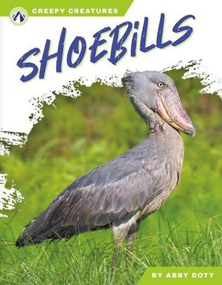 Shoebills Abby Doty