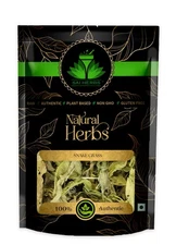 SAI HERBS Snake Grass - Shave Grass - Puzzlegrass  - Good for Healthy Lifestyle