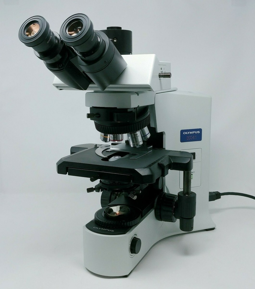 Olympus Microscope BX41 with 2x, 60x, and Trinocular Head | eBay