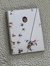 RICARDO CASES : Paloma al Aire - First edition, 2011