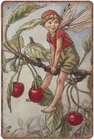The Cherry Tree Fairy Vintage Style Flower Fairies Tin Signs, Cicely Mary Barker