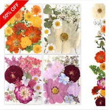 80Pcs Pressed Flowers, Dried Flowers Natural Pressed Flowers Bulk for Resin Mold