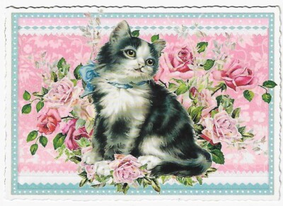 Postcard Glitter Tausendschoen Scottish Cat with Blue Ribbon Postcrossing
