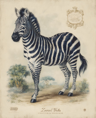 8x10 Zebra Savanna Study Art Print - 730481868