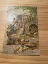 Vintage Embossed Hen Rooster Chicks Farm Postcard Sent 1909 Columbus Ohio Used