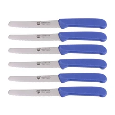 6 Pieces Table Knife, Bread Knives, Serrated Edge, 8.3 inch, Blue Handle, Set