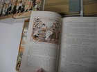 Foto 7 di 10