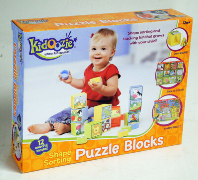 Kidoozie Shape Sorting Puzzle Blocks Learning Toy Toddler 12