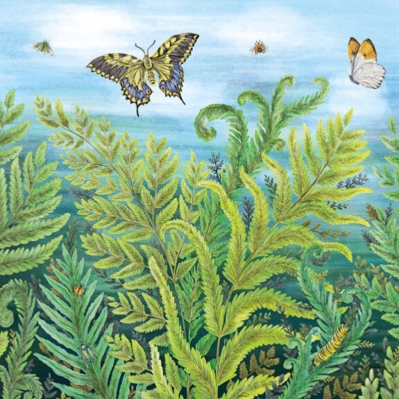 Wild Ferns -  Fine Art Blank Greeting / Birthday Card - Butterflies Bees - Rowe