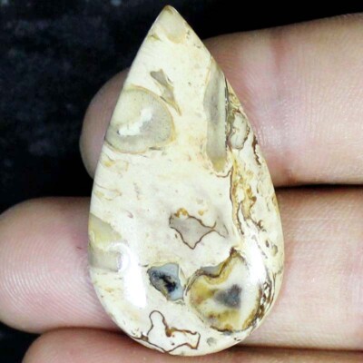 CT Natural Petrified Wood Agate PEAR Cabochon Petrified