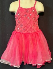 Princess Expressions Pink Sleeveless Ballerina Dance Dress Size Medium Roses
