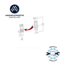 Für Mercedes AMG W221 Schutzhülle ABC Federbein vorne Für Mercedes AMG W221 Schutzhülle ABC Federbein vorne