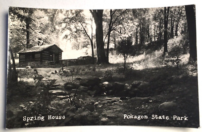 Spring & Log Cabin Hut View Pokagon State Park Angola IN RPPC Postcard UNP