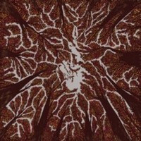 Trash Boat - Crown Shyness - Vinyl Record 12 Album Coloured Vinyl - G3Z