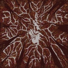 Trash Boat - Crown Shyness - Vinyl Record 12 Album Coloured Vinyl - G3Z-image