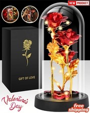 Valentines Day Rose Gifts for Her, Womens Gift for Birthday Gifts for Women, Mom