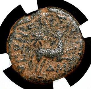 Seleucis ad Pieria Antiochia. Augusto 27 a.C. 14 d.C. Stella di Betlemme NGC Ch F