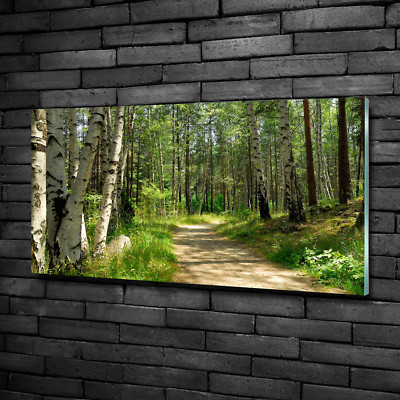 Wandbild Glas-Bild Druck auf Glas 100x50 Deko Landschaften Pfad im Wald