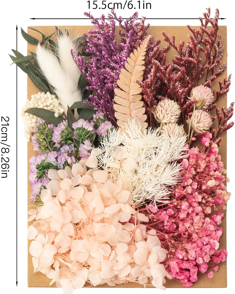 Trockenblumen, Getrocknete Blumen, Trockenblumen Zum Basteln Trockenblumen Klein - Bild 2 von 4