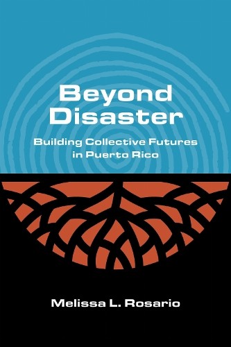 Beyond Disaster by Melissa L Rosario - 9780810146730