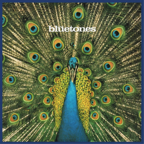20-летний юбилейный альбом The Bluetones Expecting to Fly (CD)