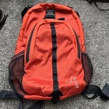 Dana Design Big Apple Backpack Bag