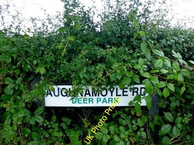 Foto 6x4 verstecktes Straßenschild, Hirschpark An Oghmagh hier abgebildet [[[4082645 c2016