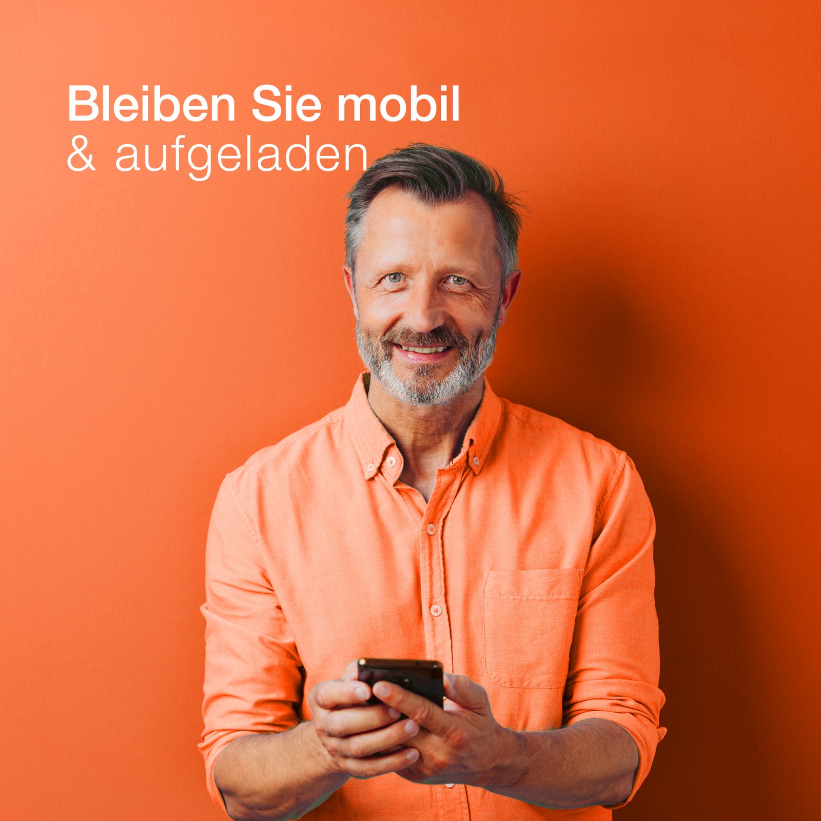 Bild 7 von 7