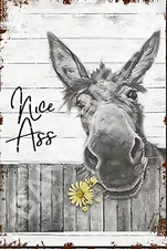 Nice Ass Funny 8" x 12" Aluminum Metal Sign
