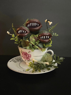 Watch Out Boy, She ll Chew You Up |Venus Fly Trap | Carnivorous Plant | Botany