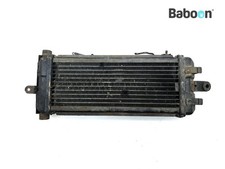 Radiatore Honda VT 500 C Shadow (VT500C PC08)