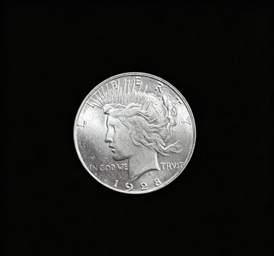 1928-P Peace Silver Dollar US Liberty Silver Collectible