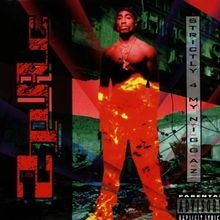 Strictly 4 My N.I.G.G.A.Z. von 2Pac | CD | Zu...