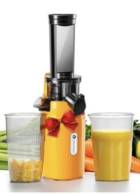 Ventray Juicer Only Mini Cold Press  12'' Slow Masticating Vegetables Smoothies