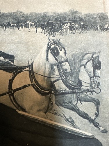 1880s Italian Print NANA By M Lovatti Antique Come Hither Look Carriage Horses - Picture 18 of 19