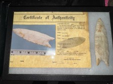 Rare Native American Paleo Dalton Arrowhead Point COA Illinois