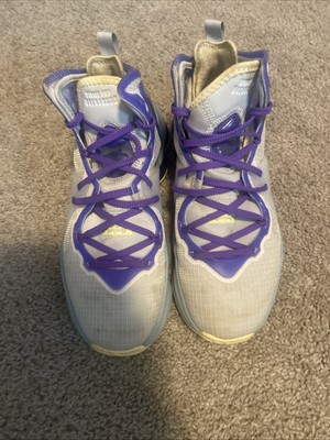 LeBron 19 Aura  Easter  7.5Y Signed Austin Reaves & Pat Bev