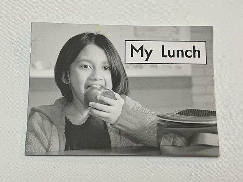 Level A 11 Books Fountas and Pinnell Leveled Literacy Intervention Readers LLI - Picture 11 of 22