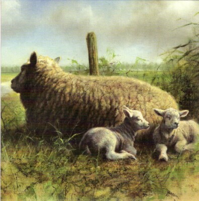 NL Grußkarte * KünstlerKarte * Wild Wald, Tiere, Schafsfamilie * Rien Poortvliet