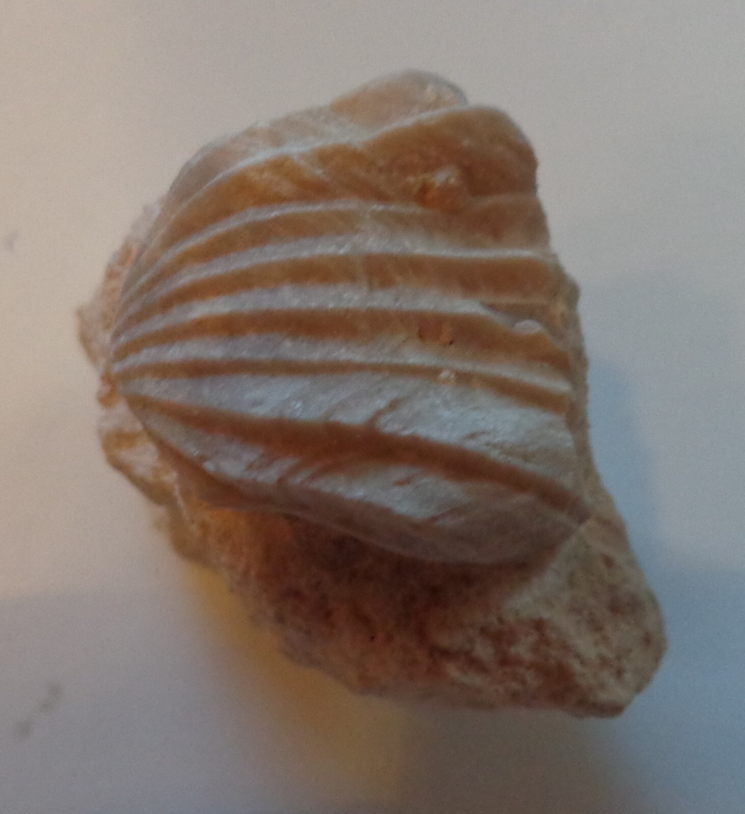Bild 2 von 2