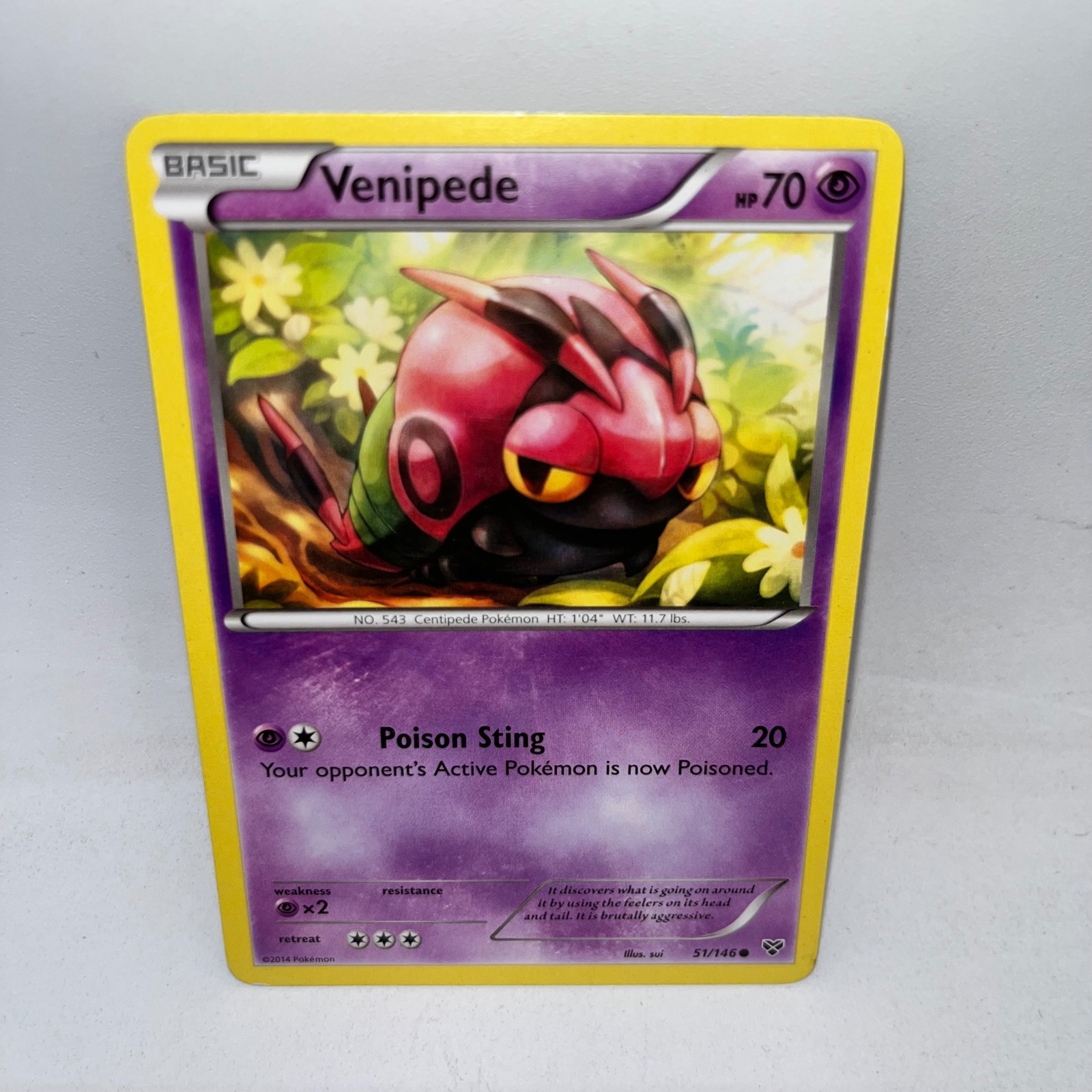 Venipede 51/146 Common XY Pokemon Moderately Played