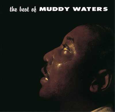 Muddy Waters The Best of Muddy Waters (Vinyl) (US IMPORT)