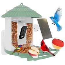 Smart Birdfeeder with Camera, Solar Powered, Night Vision, AI Bird Recognition