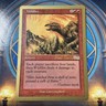 MTG Magic the Gathering Wildfire (kb228/111) World Championship Decks 1999