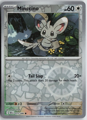 Minccino 075/086 Reverse Holo Scarlet & Violet Black Bolt
