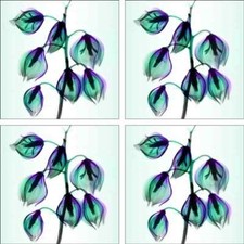 Yucca Accent Decor Tile Set Mullen Ceramic Backsplash Floral Art OB-HP24AT